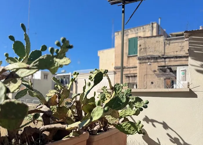 - Intendenza21 * בארי